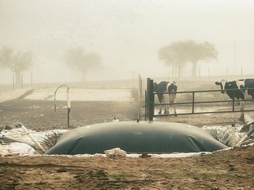 Depósitos para Purines | Balsas de Purines | Flexitanq