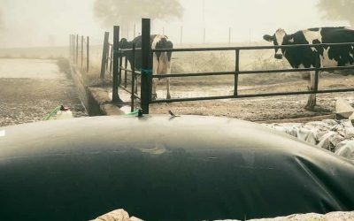 Cubrir las balsas de purines vs depósito cerrado. ¿Cómo almacenar purín sin contaminar?